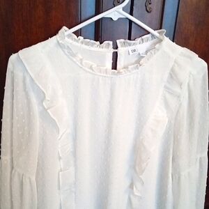 DR2 Women's White Swiss Dot Ruffled Shoulder Long Sleeve Blouse Large